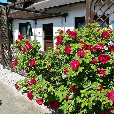 Ferienhaus Kress Links Sellin  Dış mekan fotoğraf