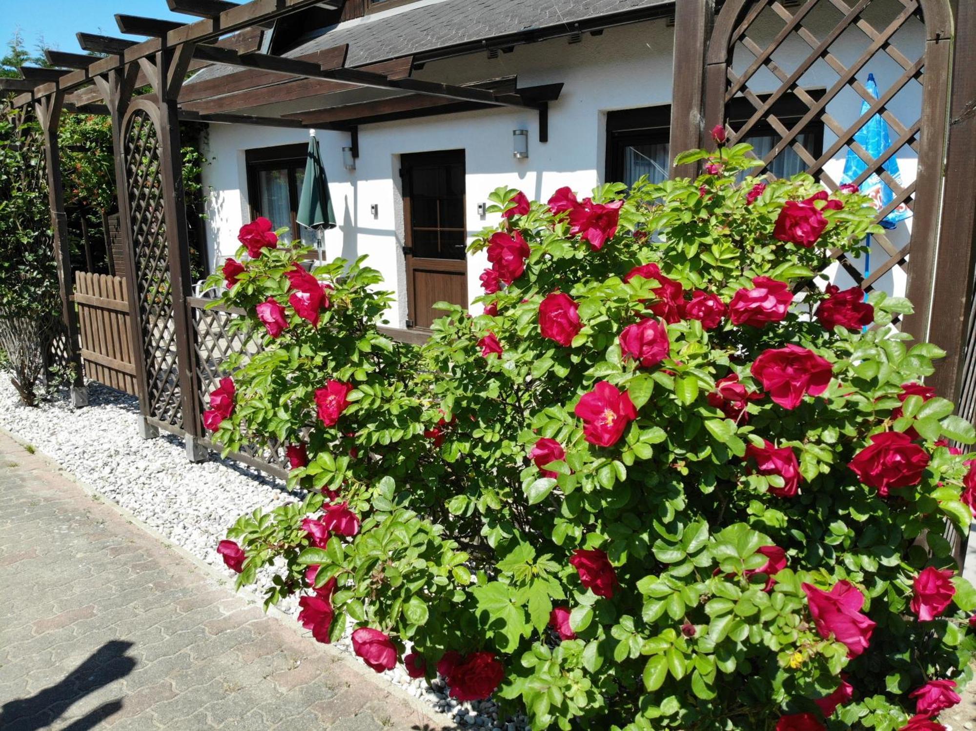 Ferienhaus Kress Links Sellin  Dış mekan fotoğraf